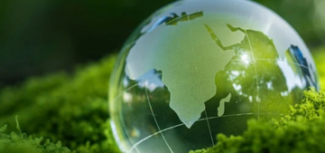 Sustainable Mycelium Protein – Why MycelPro-1 is the Eco-Friendly Protein of the Future (Avatar-Style Ecosystem Thinking)