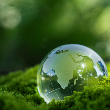 Sustainable Mycelium Protein – Why MycelPro-1 is the Eco-Friendly Protein of the Future (Avatar-Style Ecosystem Thinking)