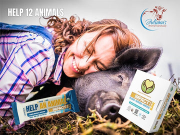 HELP AN ANIMAL Box of 12