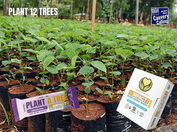 » PLANT A TREE Box of 12 (100% off)